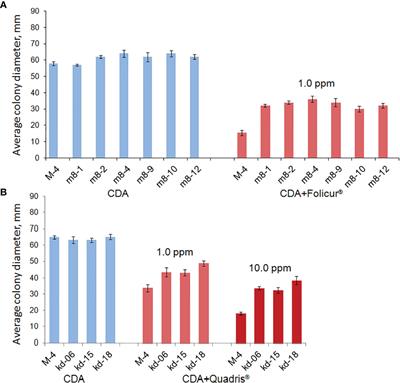 A Secondary Metabolite Secreted by Penicillium citrinum Is Able to Enhance Parastagonospora nodorum Sensitivity to Tebuconazole and Azoxystrobin